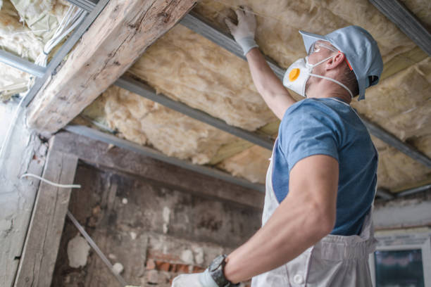 Best Blown-in Insulation  in La Center, WA