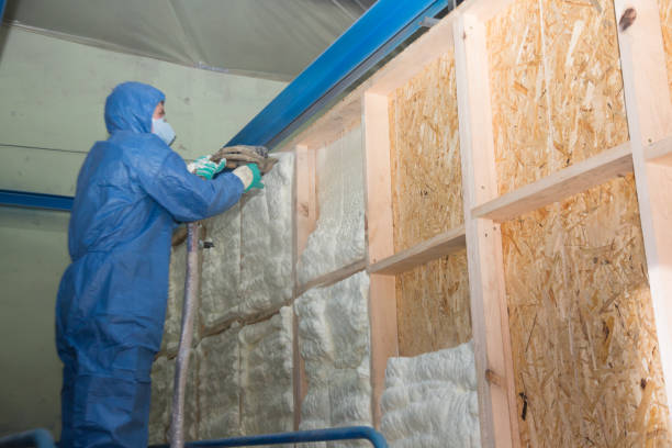 Best Spray Foam Insulation  in La Center, WA